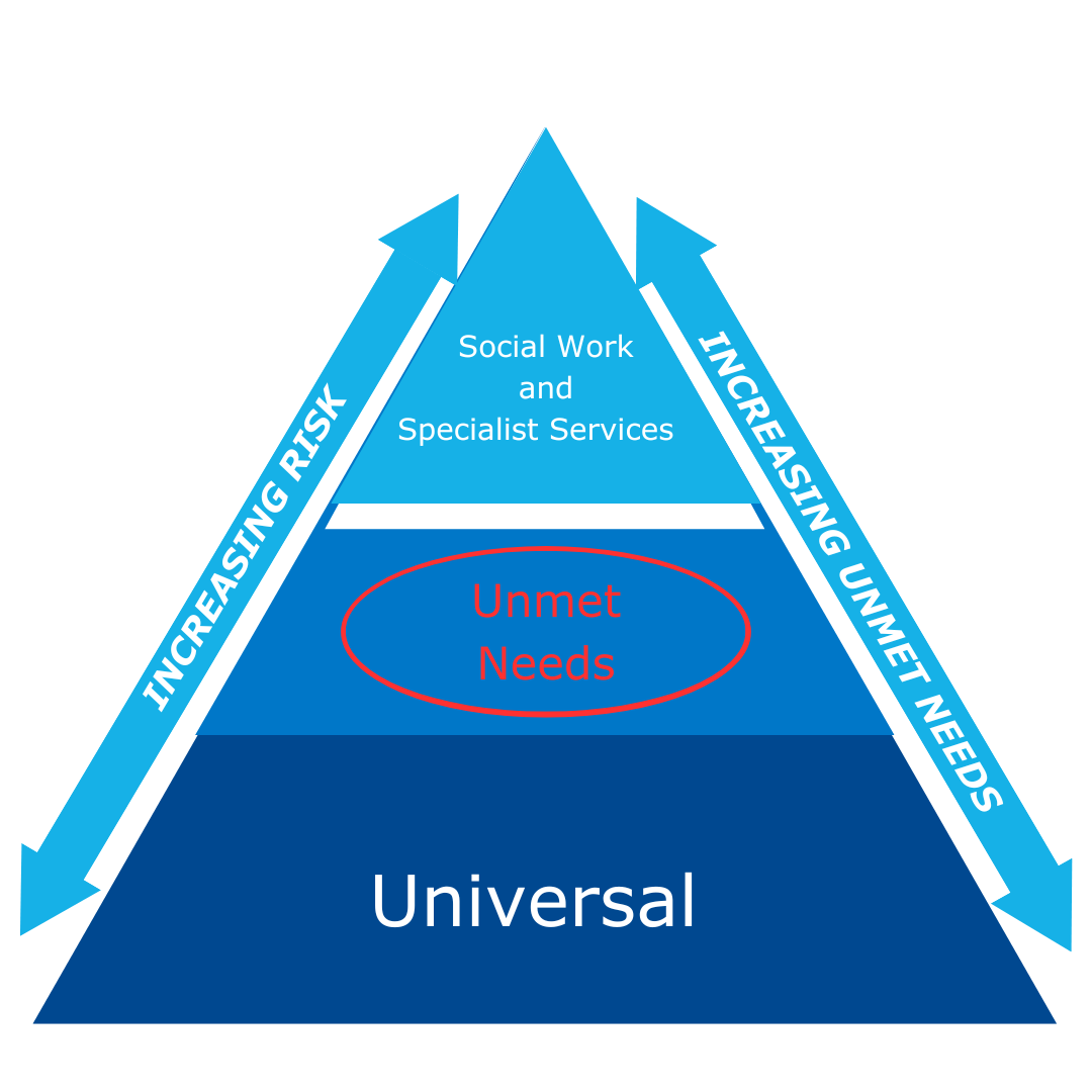 ANEW risk and unmet need triangle